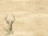 1a Dunicel Tischsets --- My Deer --- 30 x 40 cm --- 100 Stück